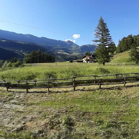 Panoramico Orso Bianco * シャンポルク