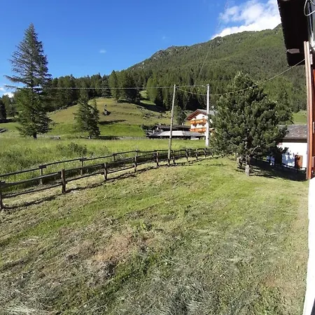 Panoramico Orso Bianco アパート