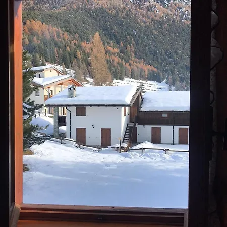 Panoramico Orso Bianco